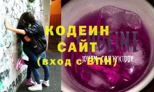 ГАЛЛЮЦИНОГЕННЫЕ ГРИБЫ Михайлов