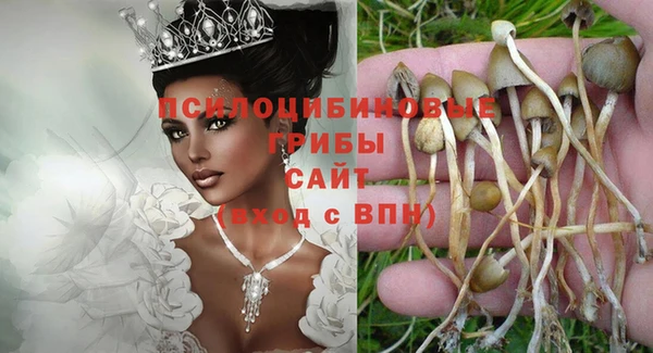 крисы Ахтубинск