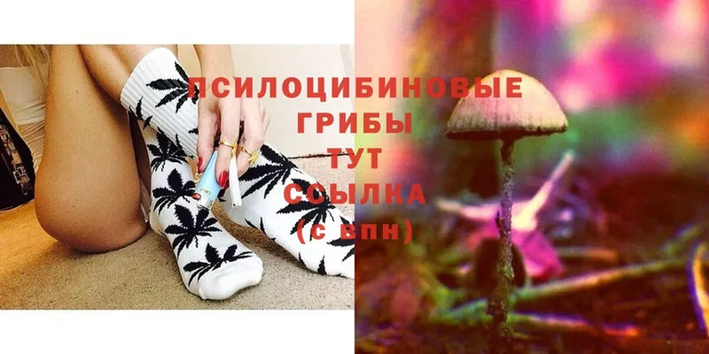 Псилоцибиновые грибы Magic Shrooms  Далматово 